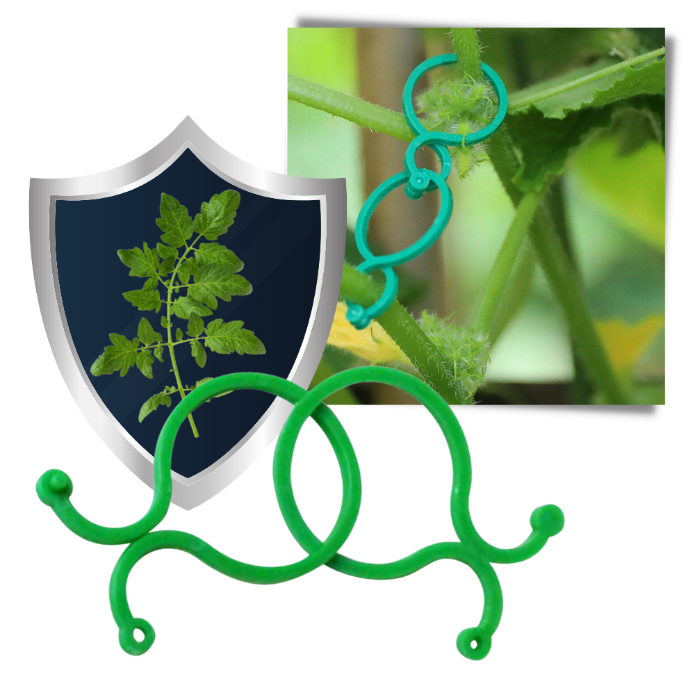 Confezione di fermi per piante da giardino