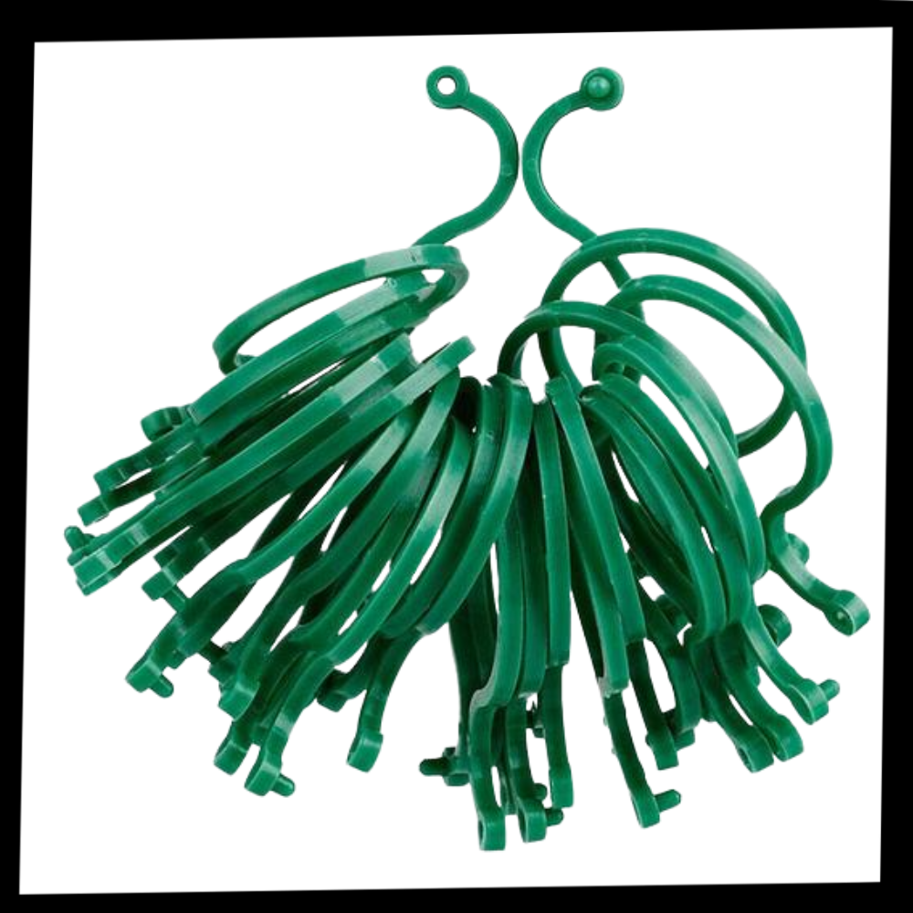 Confezione di fermi per piante da giardino - Ozerty