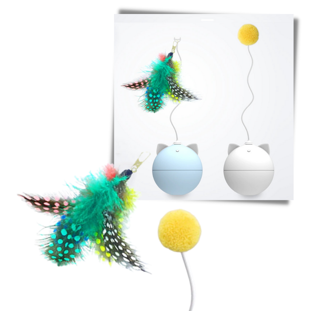 Palla giocattolo per gatti con funzione di rollio automatico - Ozerty