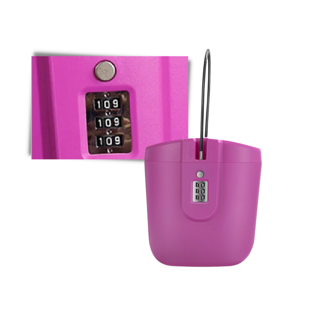 Cassetta di sicurezza portatile con maniglia - Ozerty