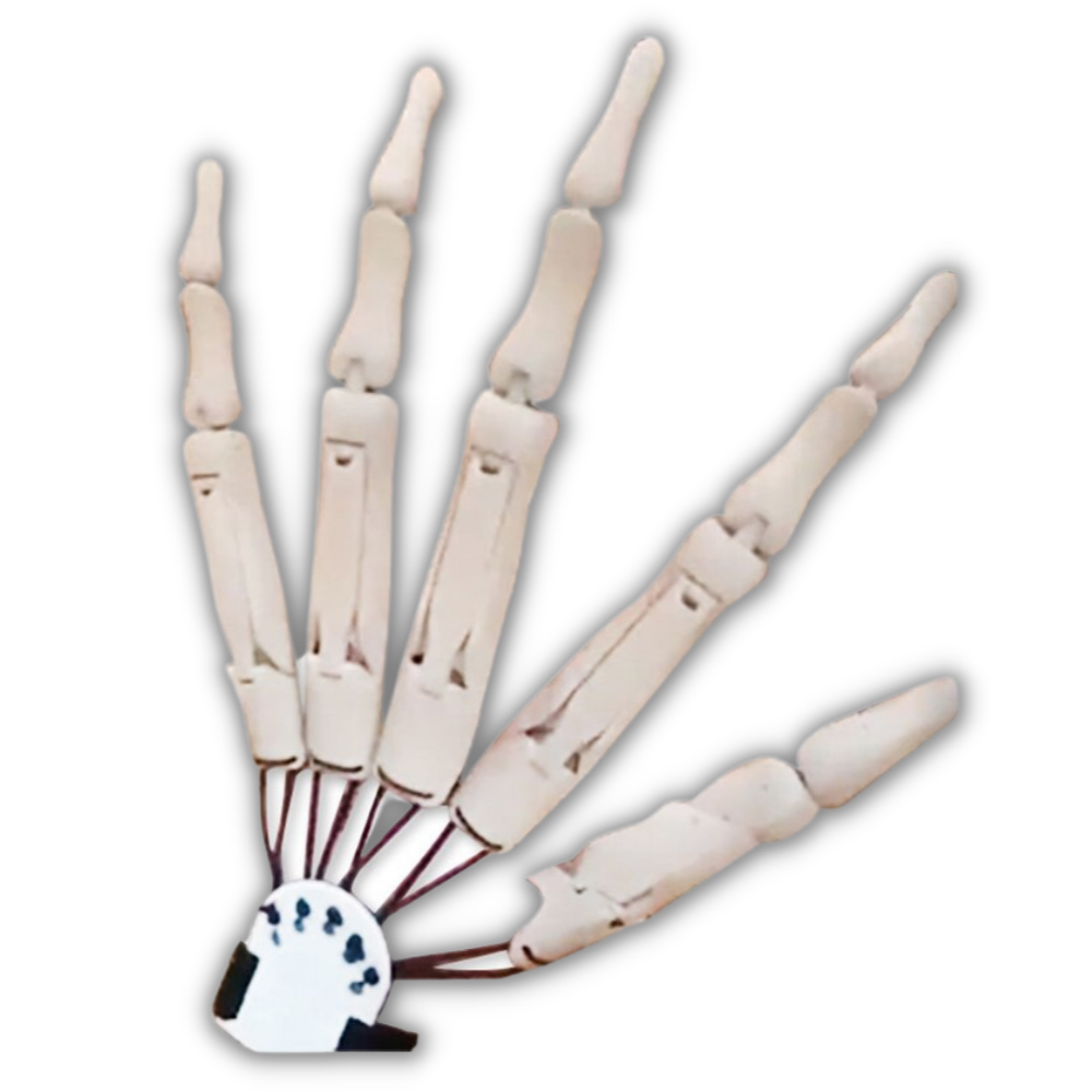 Fake glove with skeleton hands