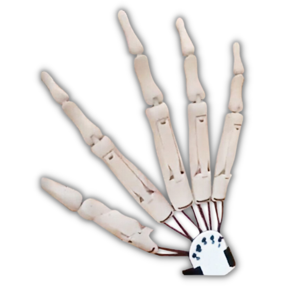 Fake glove with skeleton hands