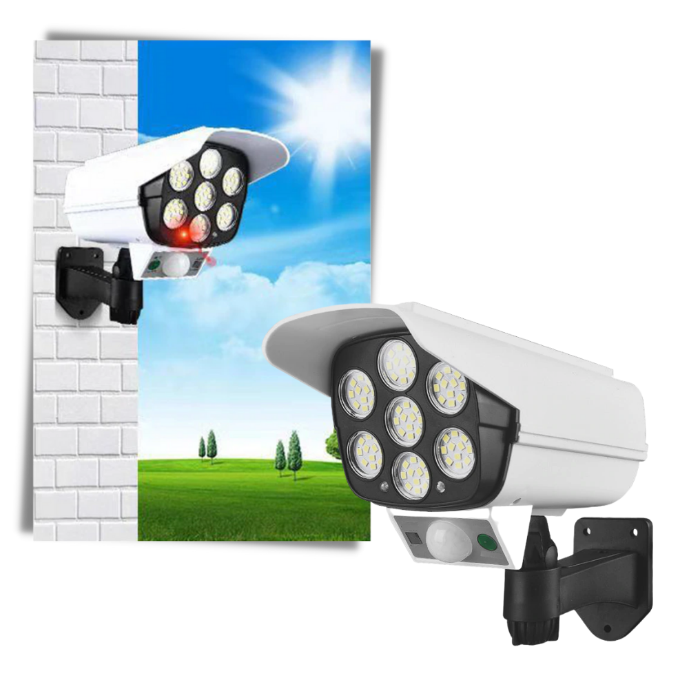 Lampada LED con sensore di movimento solare - Ozerty