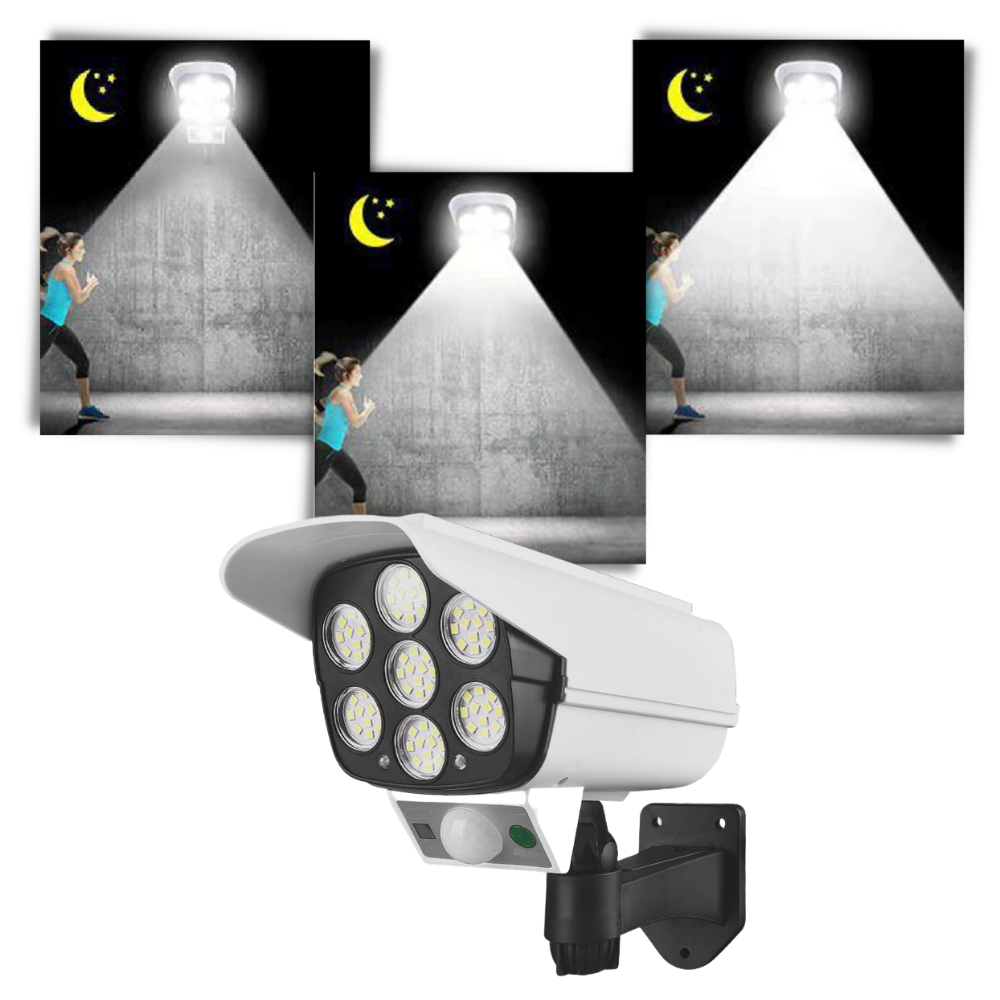 Lampada LED con sensore di movimento solare - Ozerty