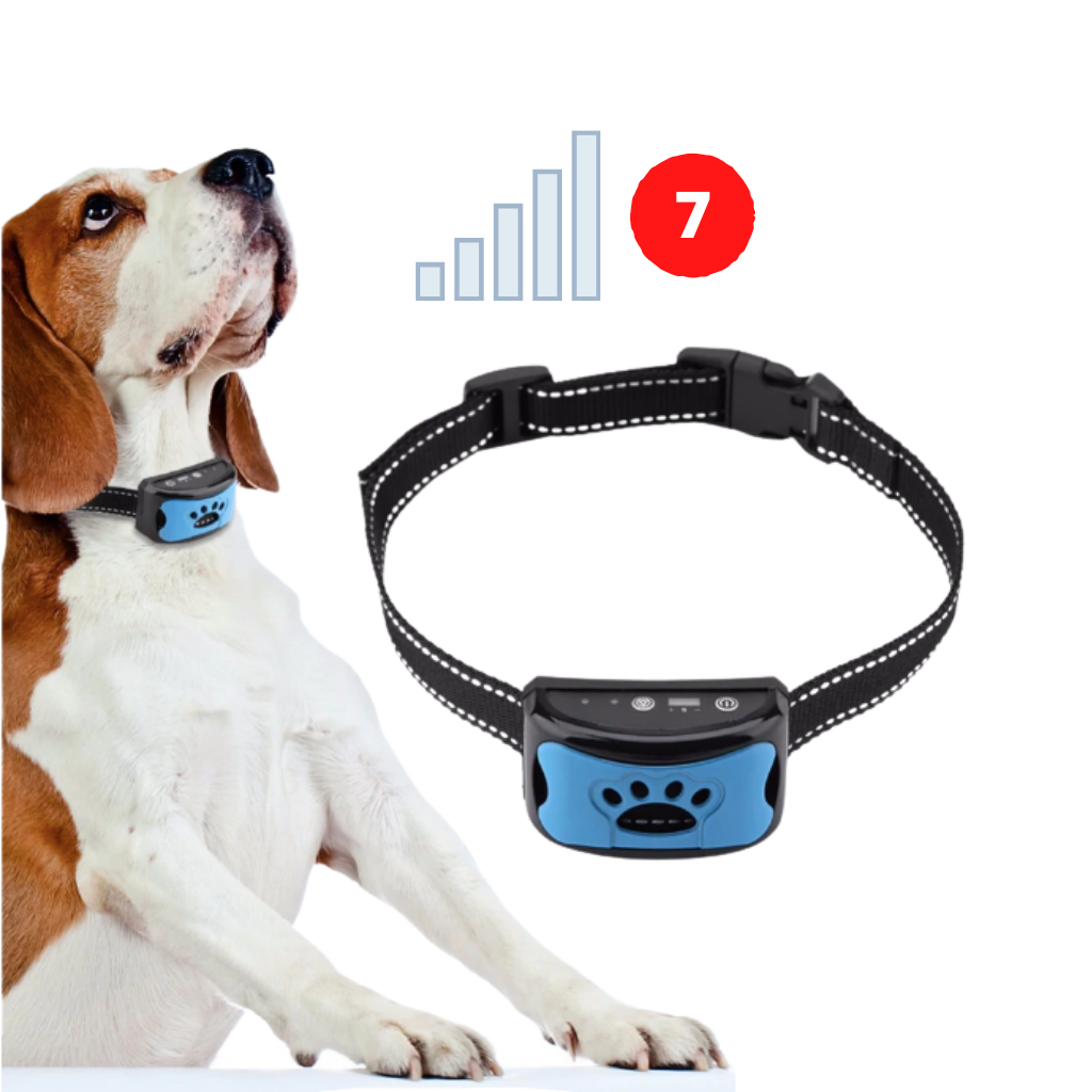 Collare per cani anti abbaio - Ozerty