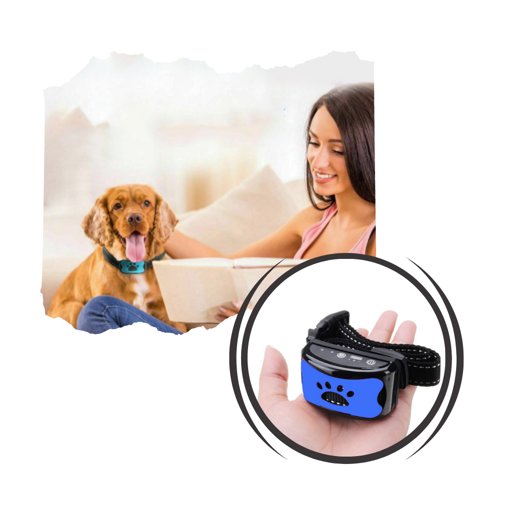 Collare per cani anti abbaio - Ozerty