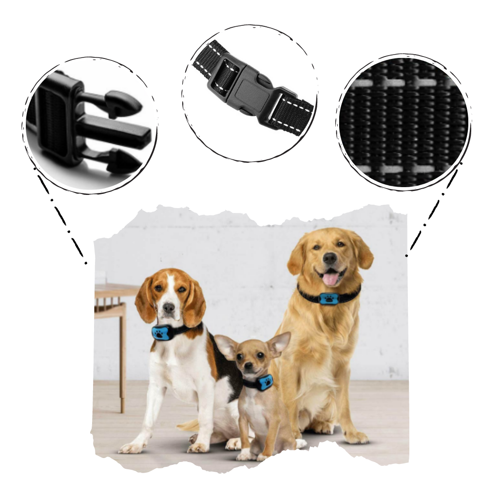 Collare per cani anti abbaio - Ozerty