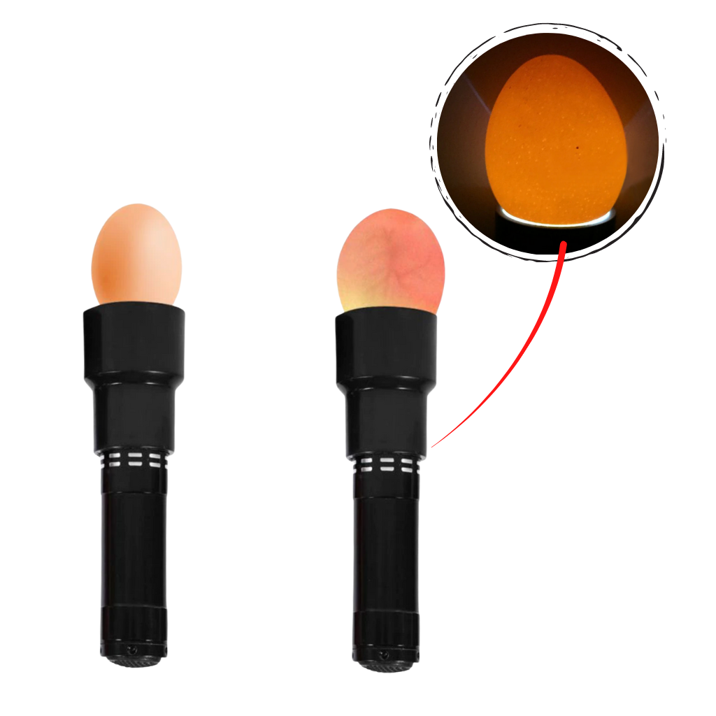 Torcia a candela per uova - Ozayti