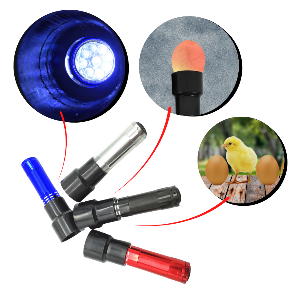 Torcia a candela per uova - Ozayti