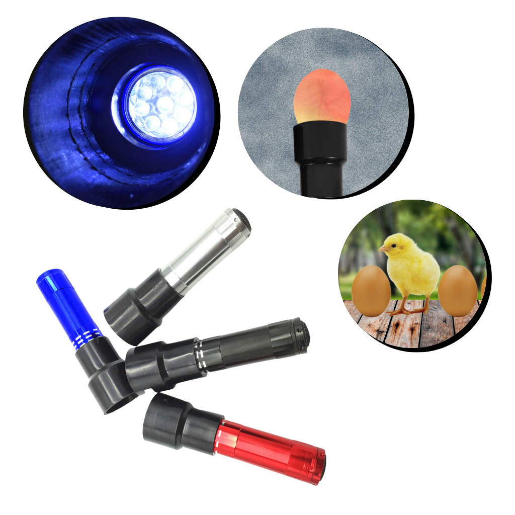 Torcia a candela per uova