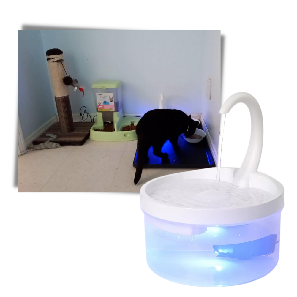 Fontana d'acqua automatica per gatto con luce LED - Ozerty