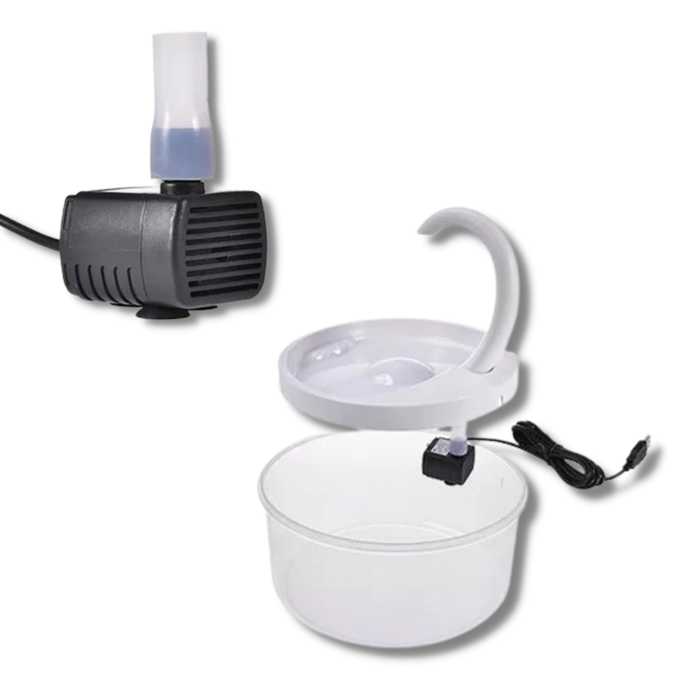 Fontana d'acqua automatica per gatto con luce LED - Ozerty