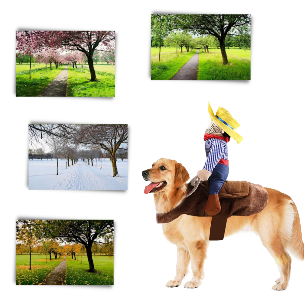 Costume da cane cowboy - Ozerty