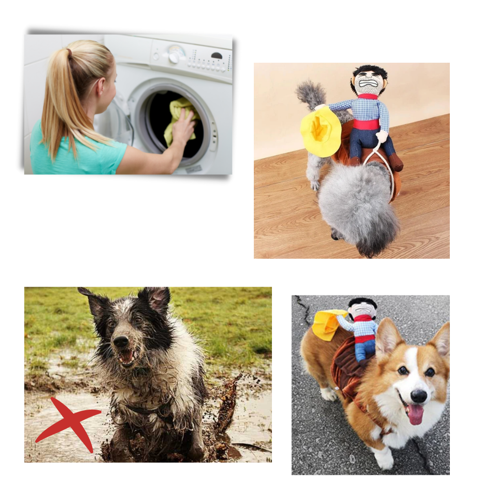 Costume da cane cowboy - Ozerty