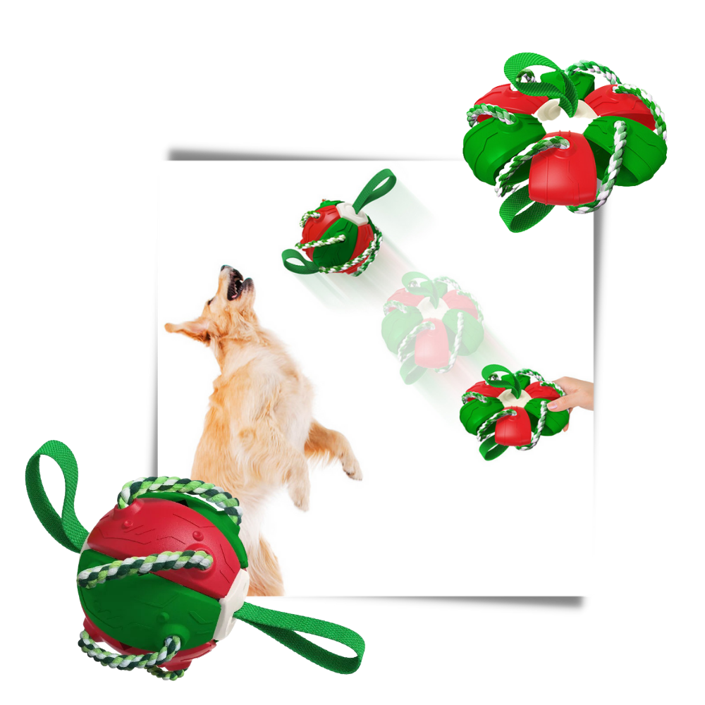 Giocattolo per cani palla frisbee - Ozerty