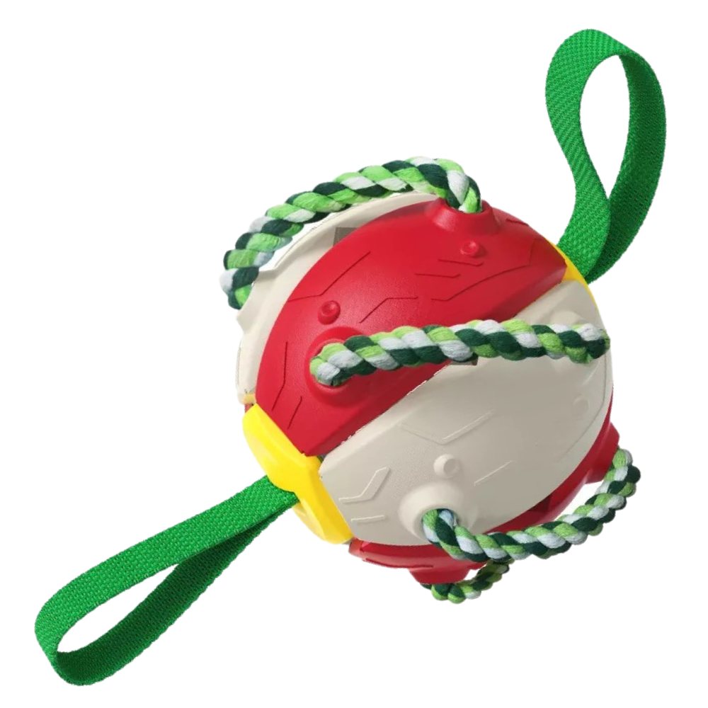 Frisbee ball dog toy