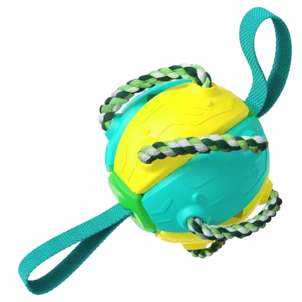 Frisbee ball dog toy