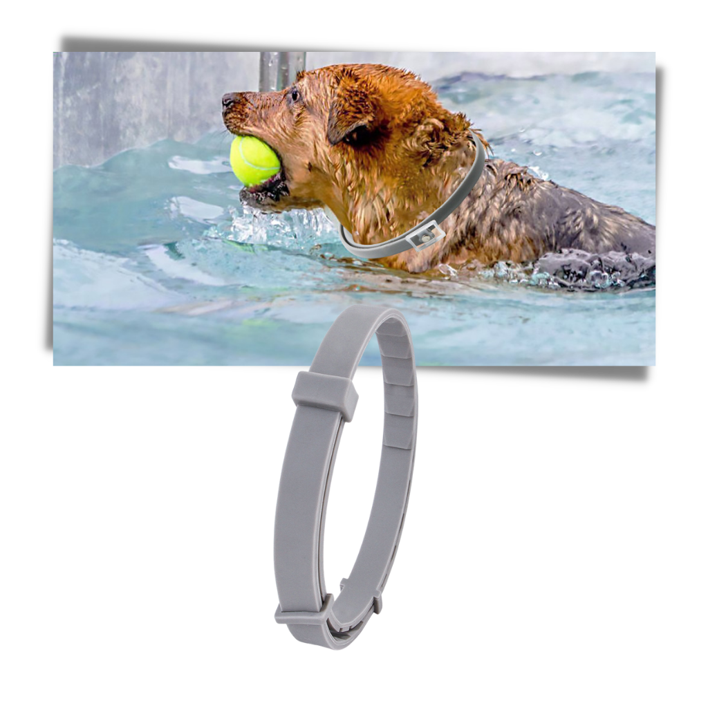 Collare antipulci per animali domestici - Ozerty