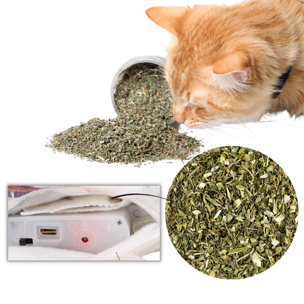 Giocattolo per gatti a forma di pesce fluttuante - Ozerty