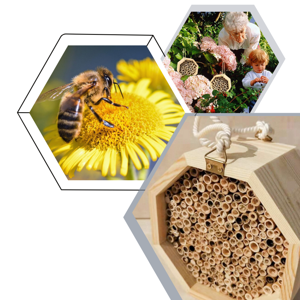 Casa delle api in legno esagonale - Ozerty