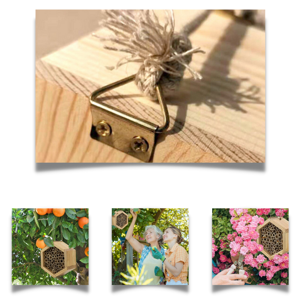 Casa delle api in legno esagonale - Ozerty