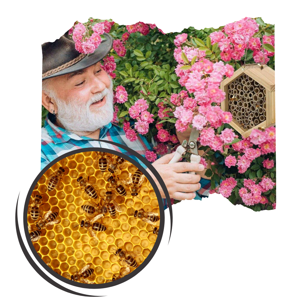 Casa delle api in legno esagonale - Ozerty