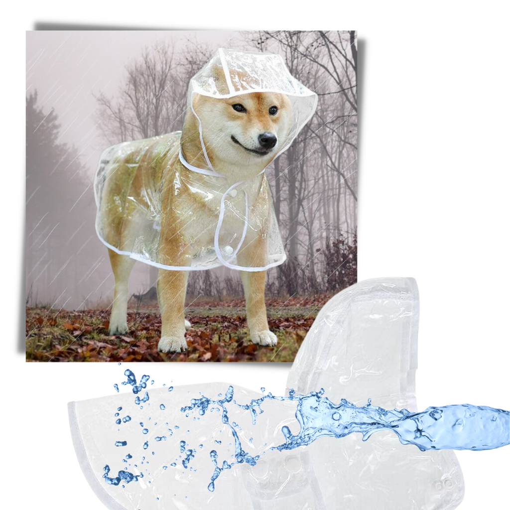 Impermeabile con cappuccio per cani - Ozerty