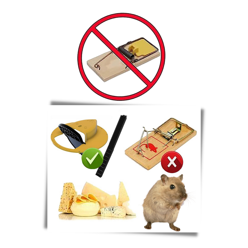 Bucket mouse and rat trap