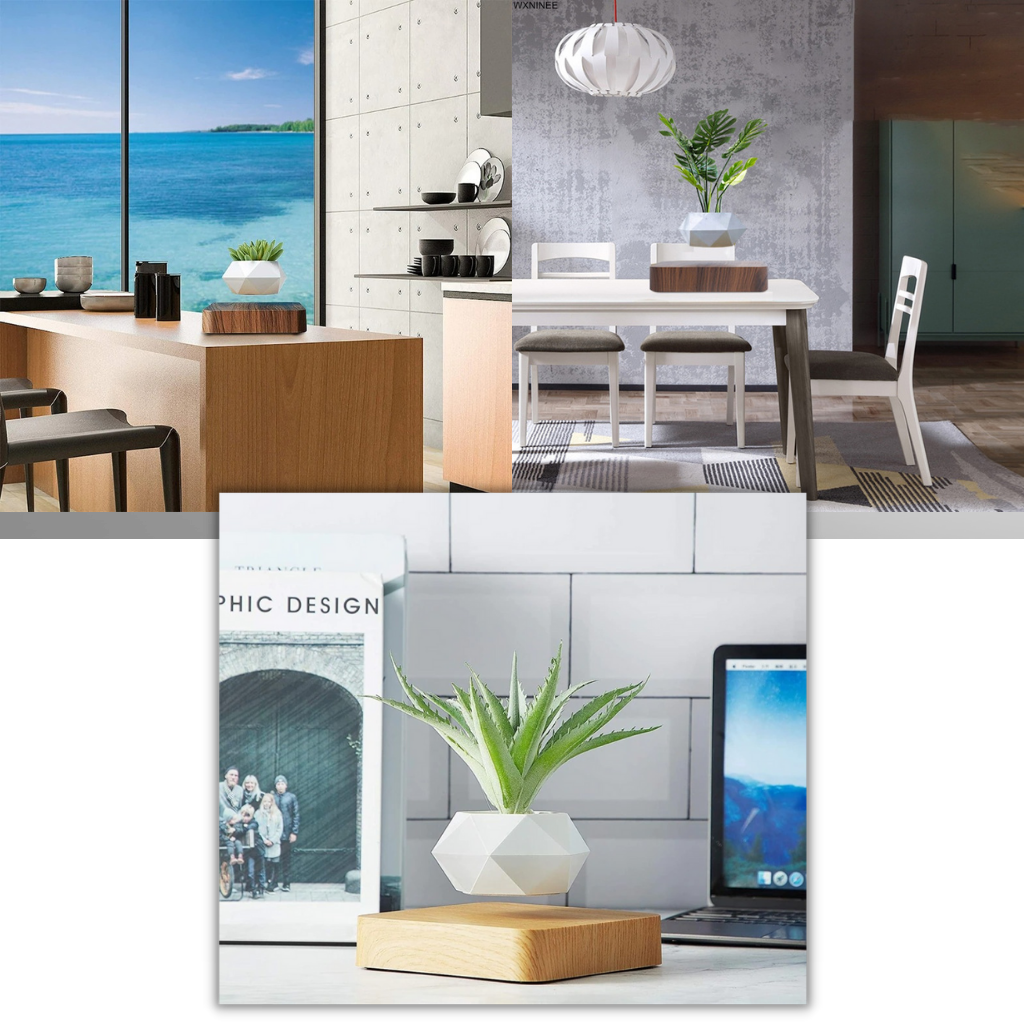 Vaso per piante fluttuante - Ozerty