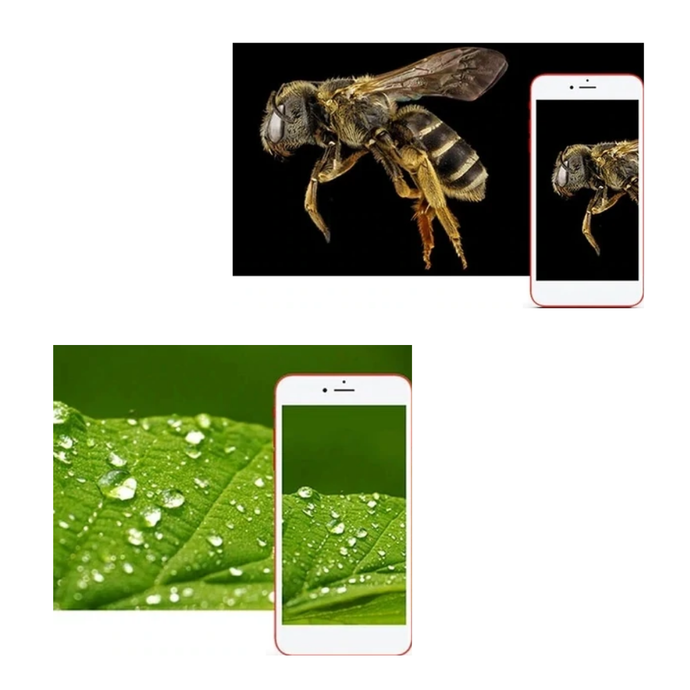 Microscopio digitale USB con LED