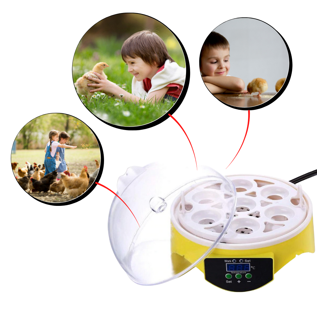 Mini incubatrice automatica per uova - ozayti