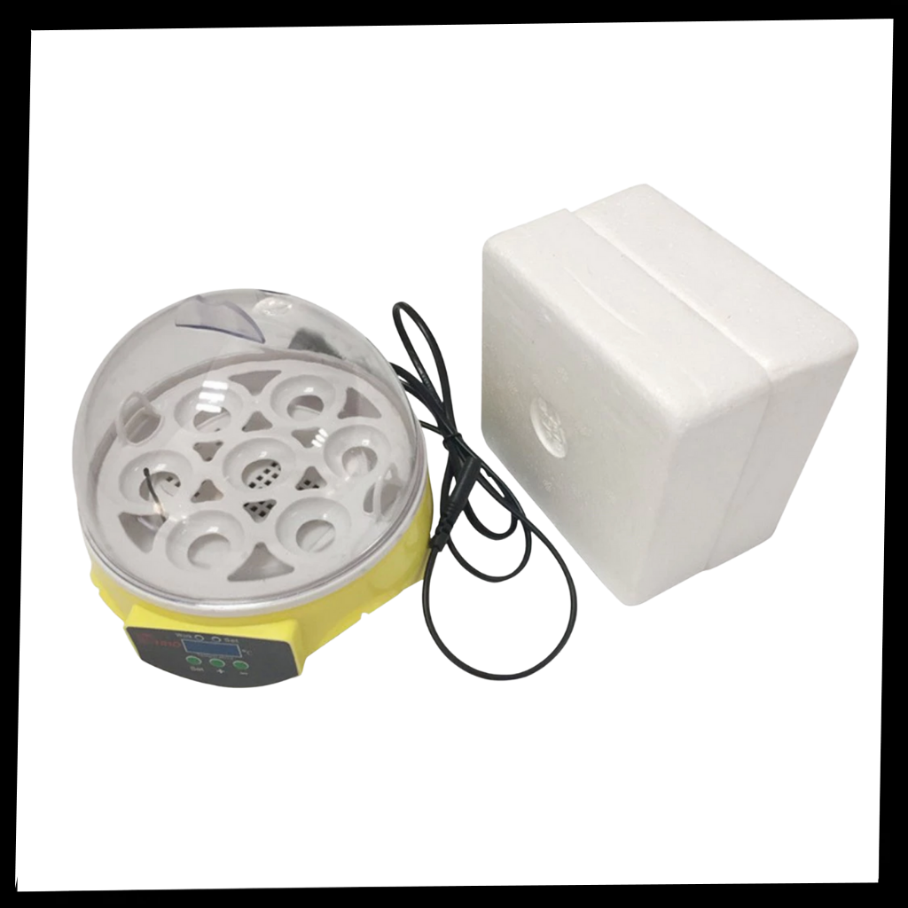 Mini incubatrice automatica per uova - ozayti