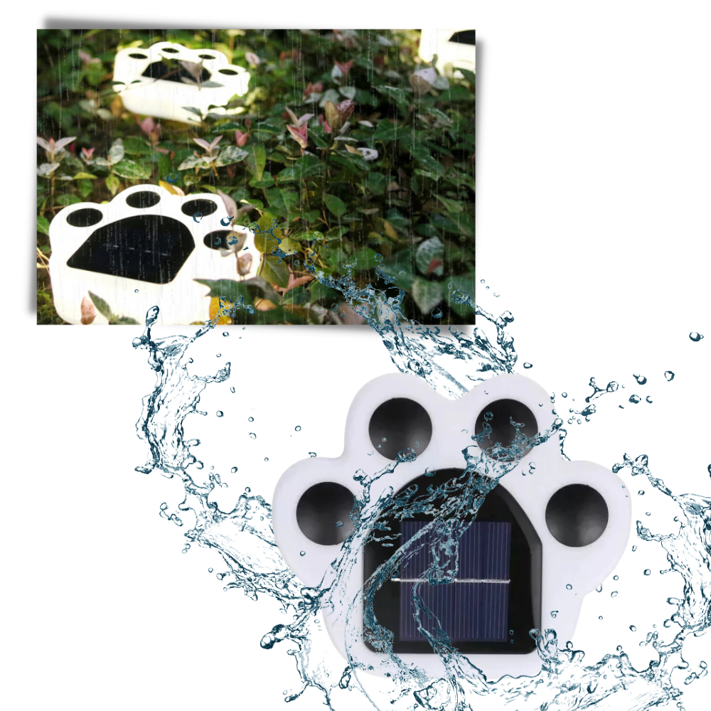 Luce del sentiero a energia solare con stampa di zampa