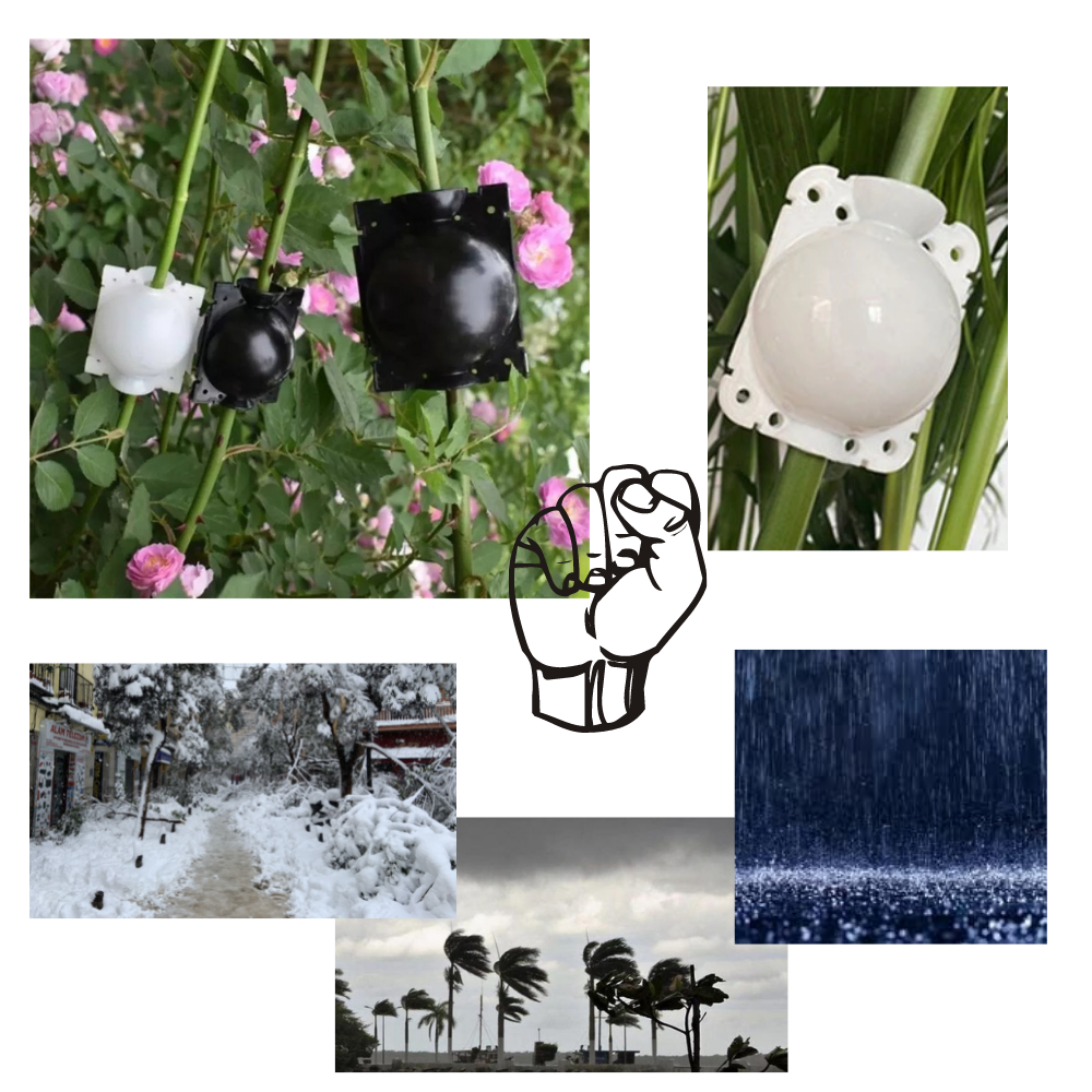 Confezione da 3 scatole per piante a stratificazione aerea