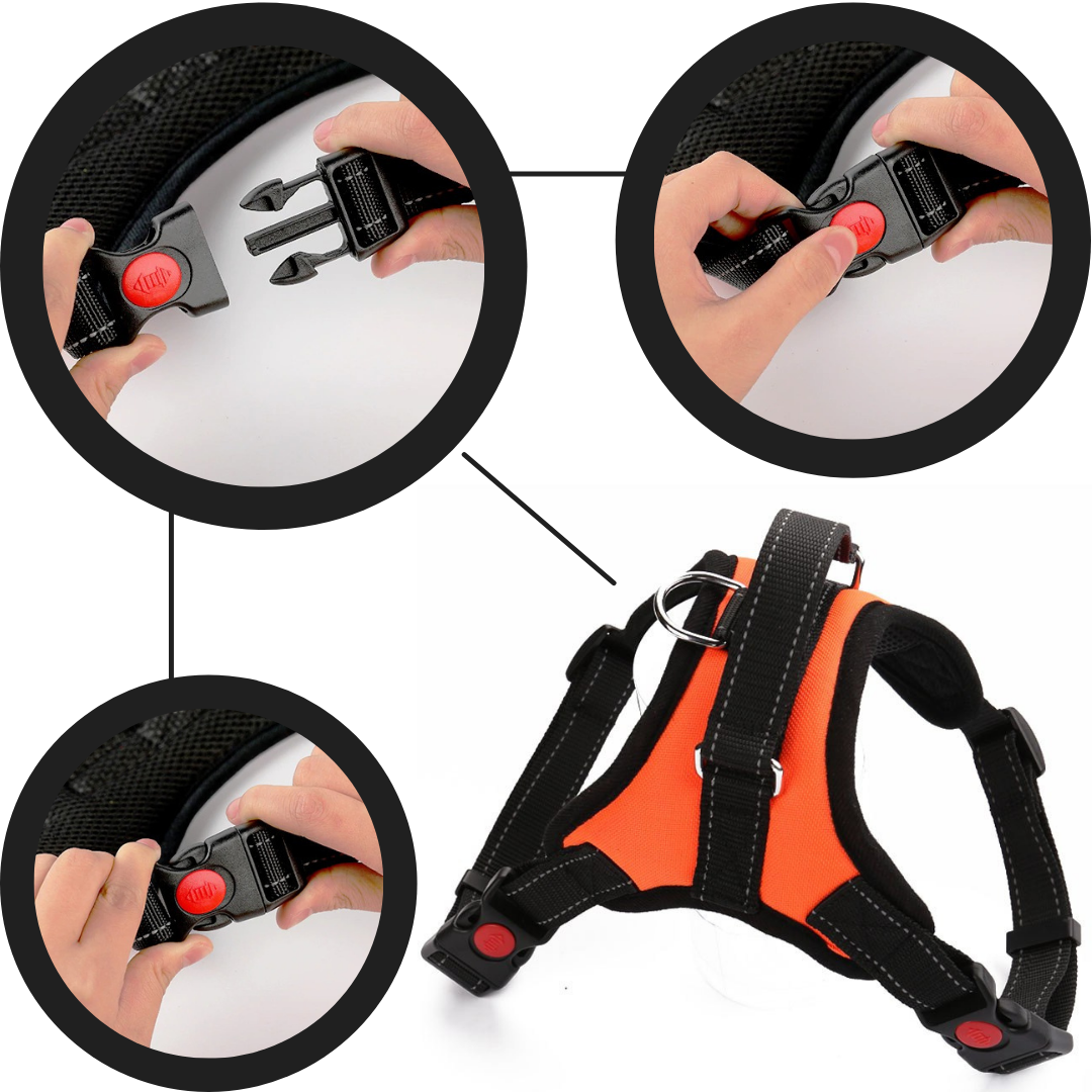 Imbracatura per cani a sella regolabile riflettente