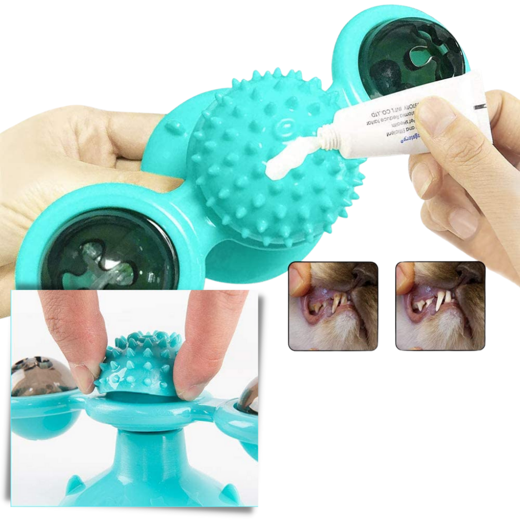 Giocattolo per gatti con mulino a vento rotante e spazzola