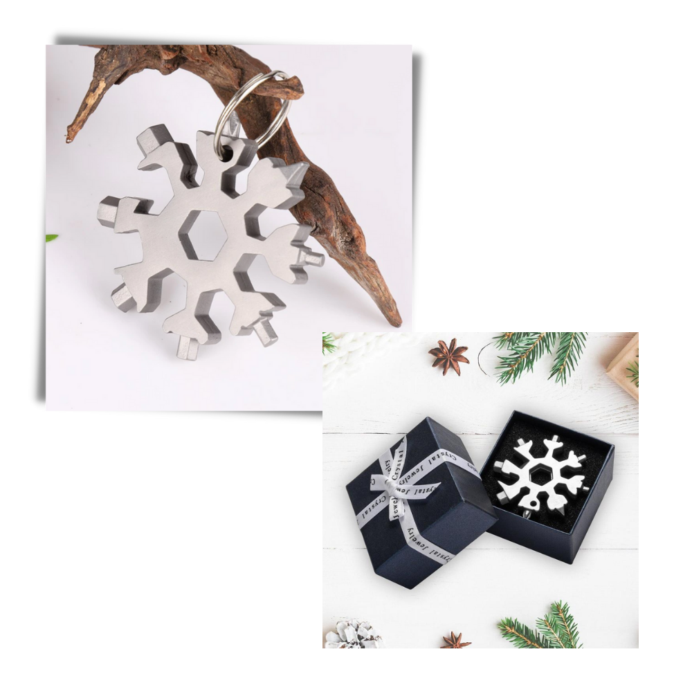 Multiutensile a fiocco di neve in acciaio inossidabile 18-in-1 - Ozerty