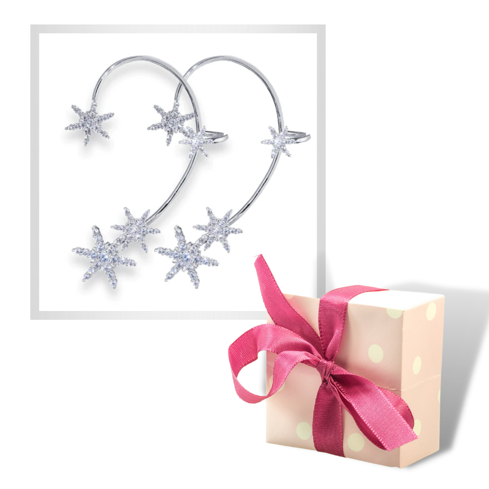 Coppia di orecchini alla moda con zirconi - Ozerty