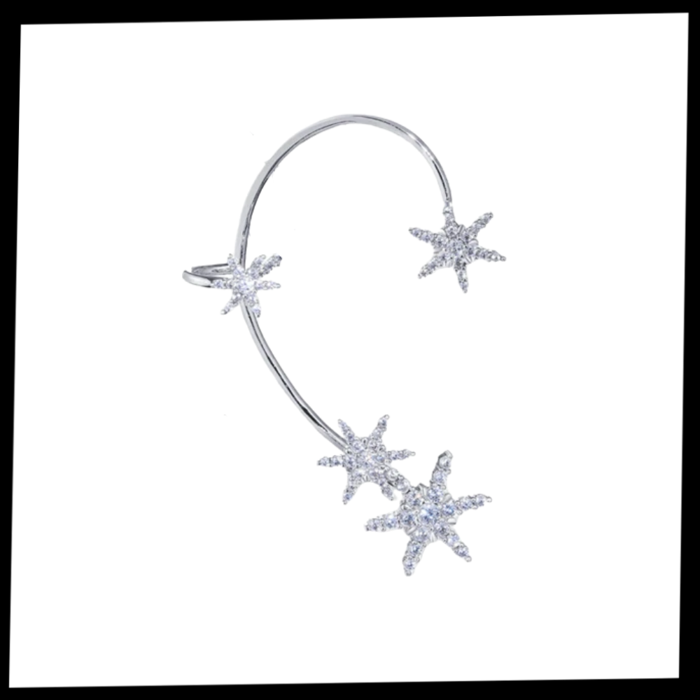 Coppia di orecchini alla moda con zirconi - Ozerty