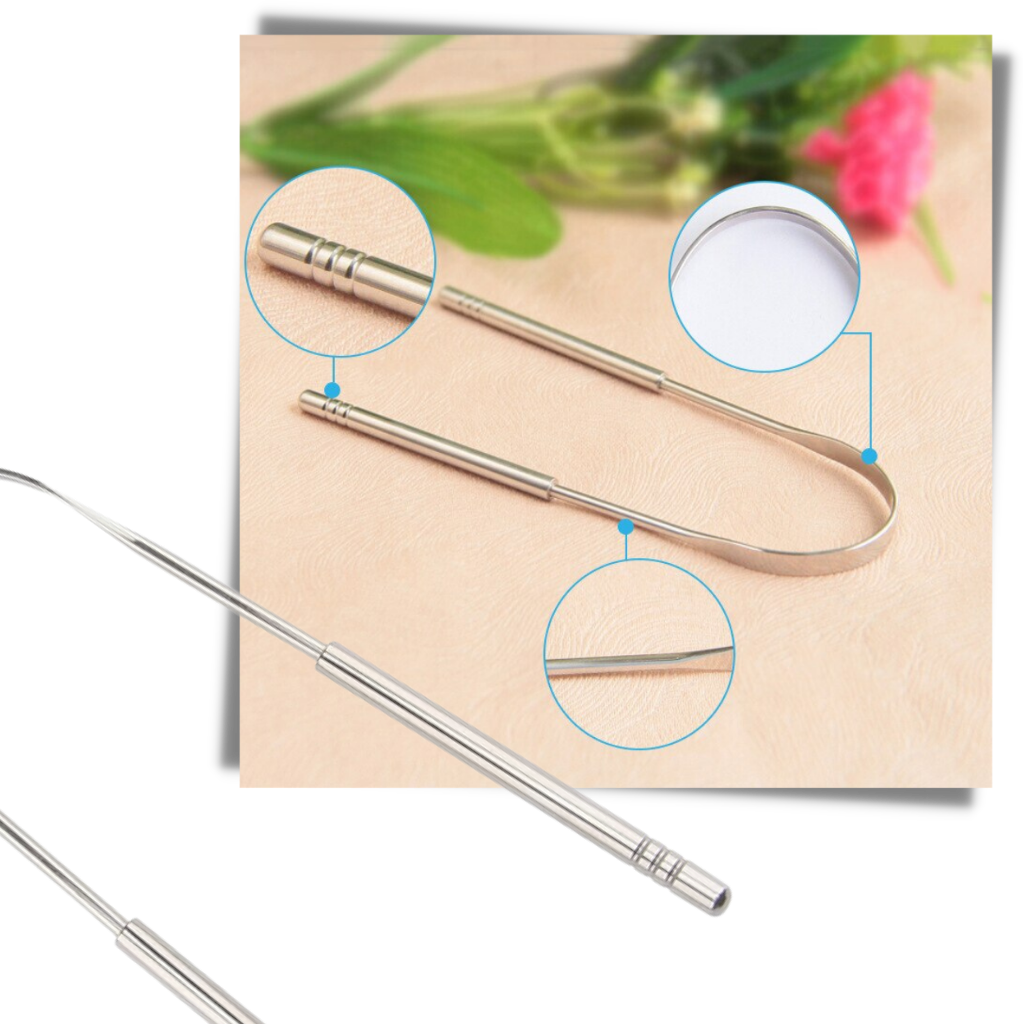 Puliscilingua in acciaio inox - Ozerty