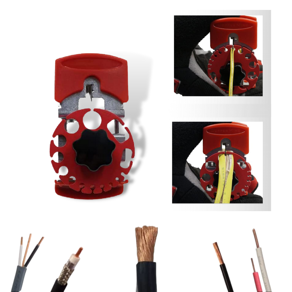 Spelafili palmare universale - Ozerty