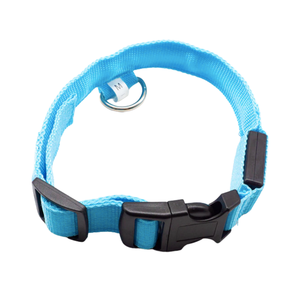 Pet collar with USB rechargeable LED light