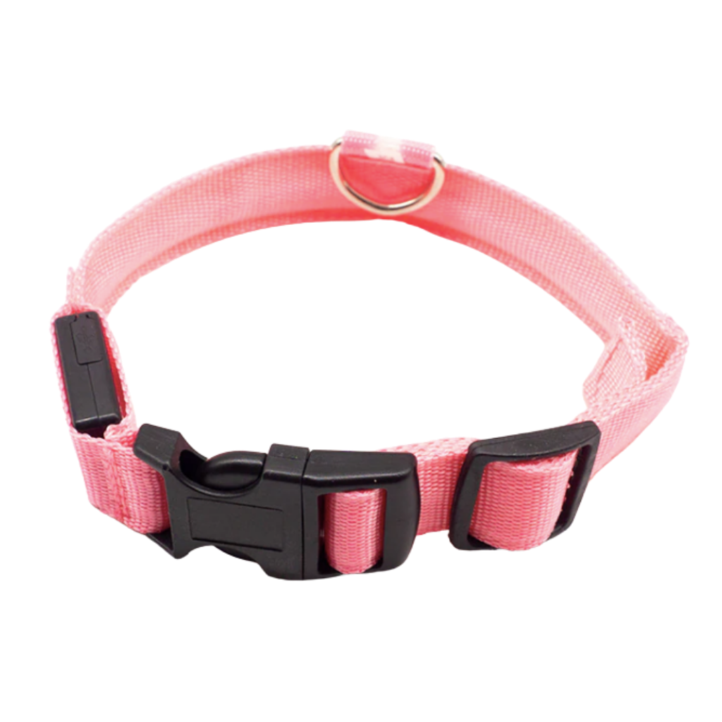 Pet collar with USB rechargeable LED light