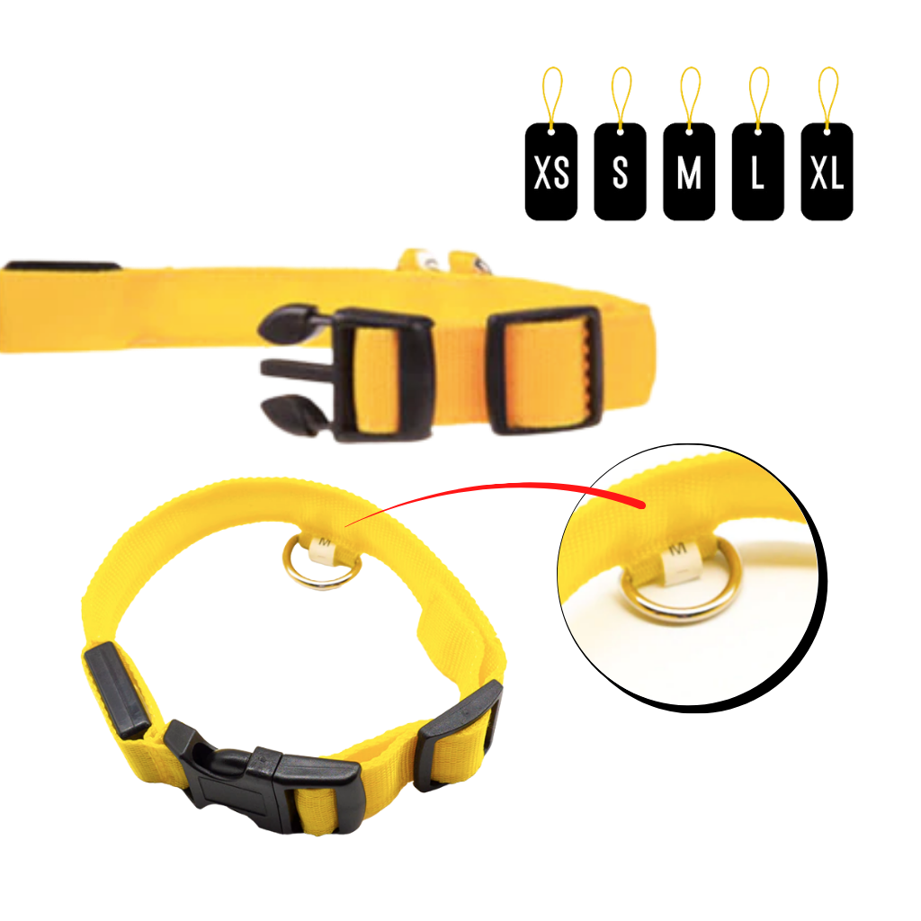 Collare per animali con luce LED ricaricabile USB