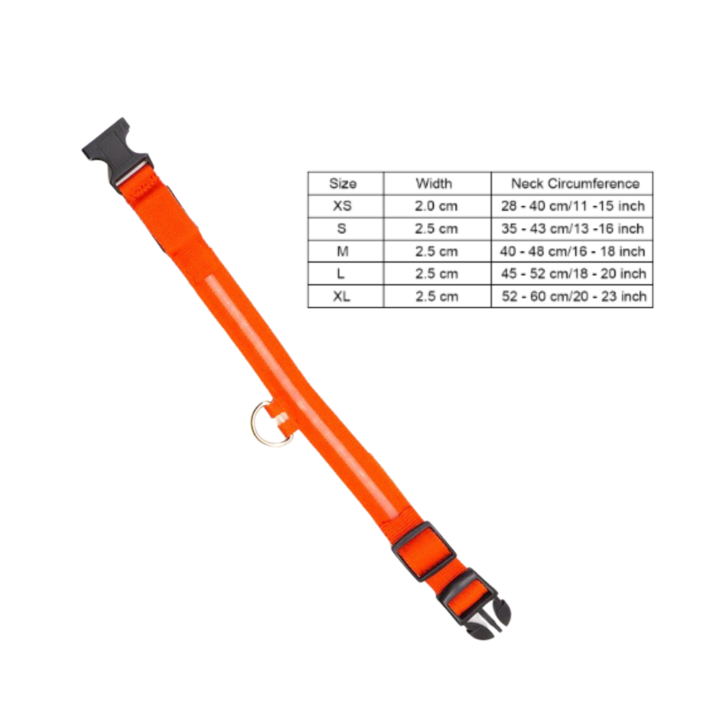 Collare per animali con luce LED ricaricabile USB - Ozerty