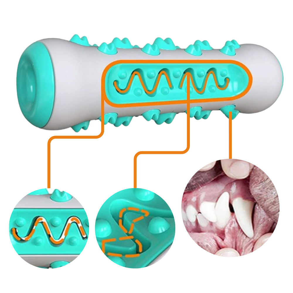 Giocattolo da masticare per la cura dei denti per cani - Ozerty