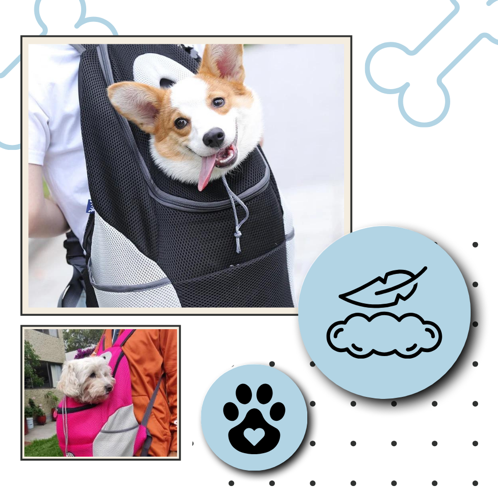 Zaino traspirante per cani - Ozerty