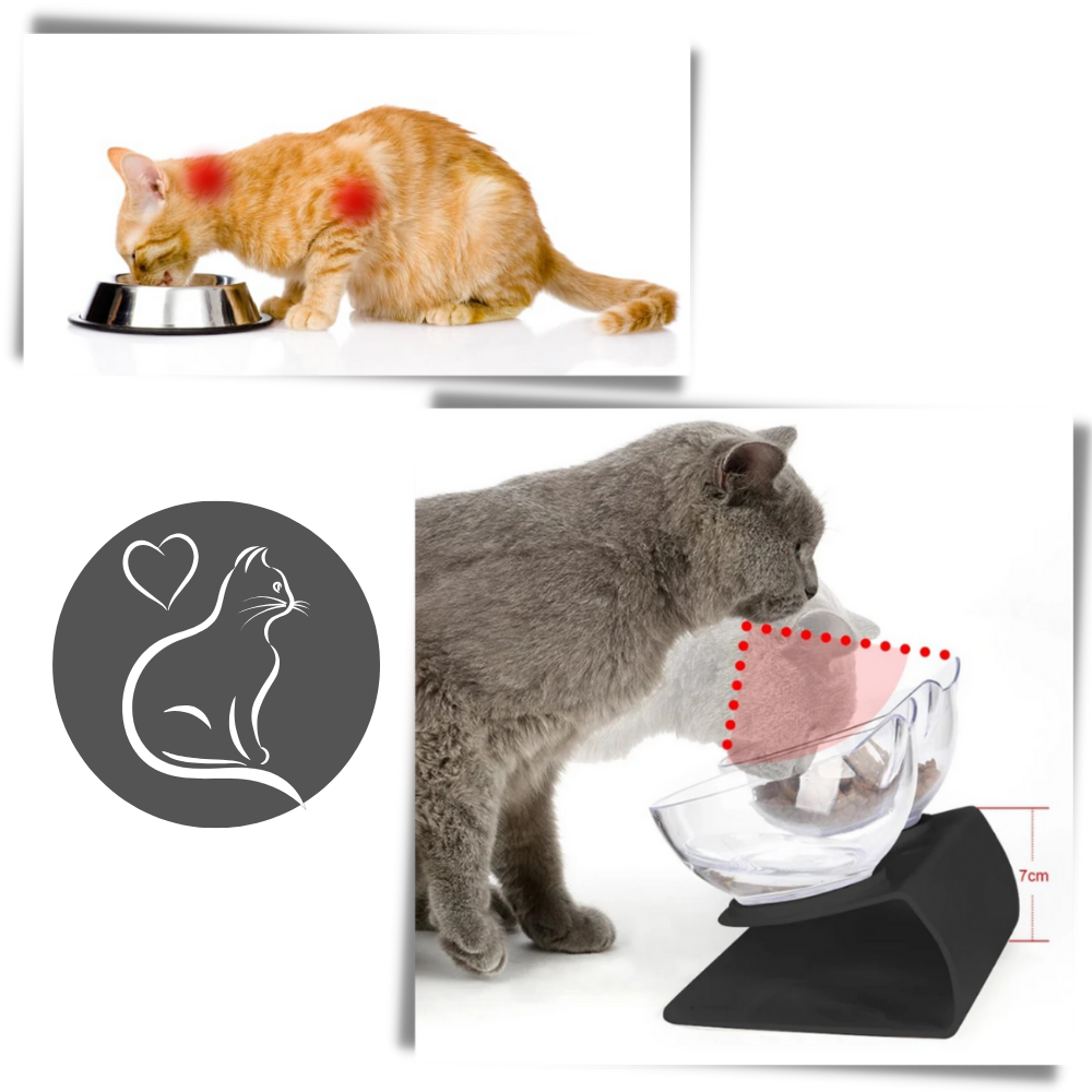 Ciotola comfort rialzata per gatti - Ozerty