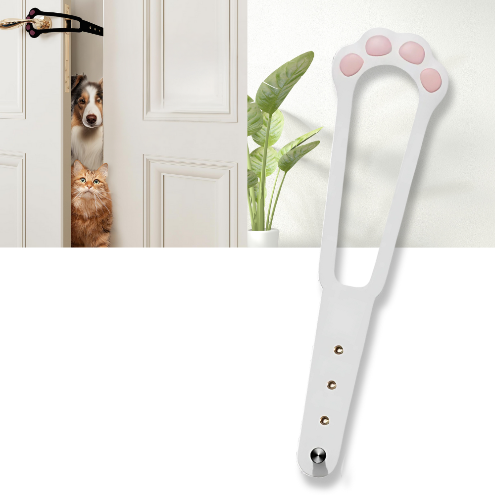 Innovativo Chiavistello per Gatti - Ozerty
