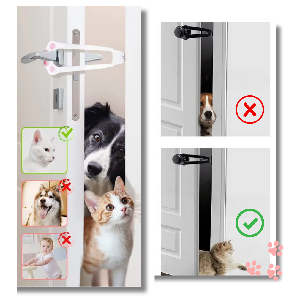 Innovativo Chiavistello per Gatti - Ozerty